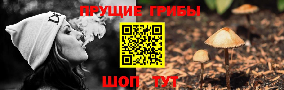 Галлюциногенные грибы мухоморы  Вход с VPN  Батайск  Галлюциногенные грибы GOLDEN TEACHER 
